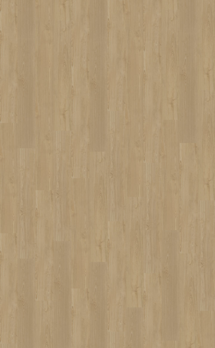 Portico 560 Rigid Click 1,83m2