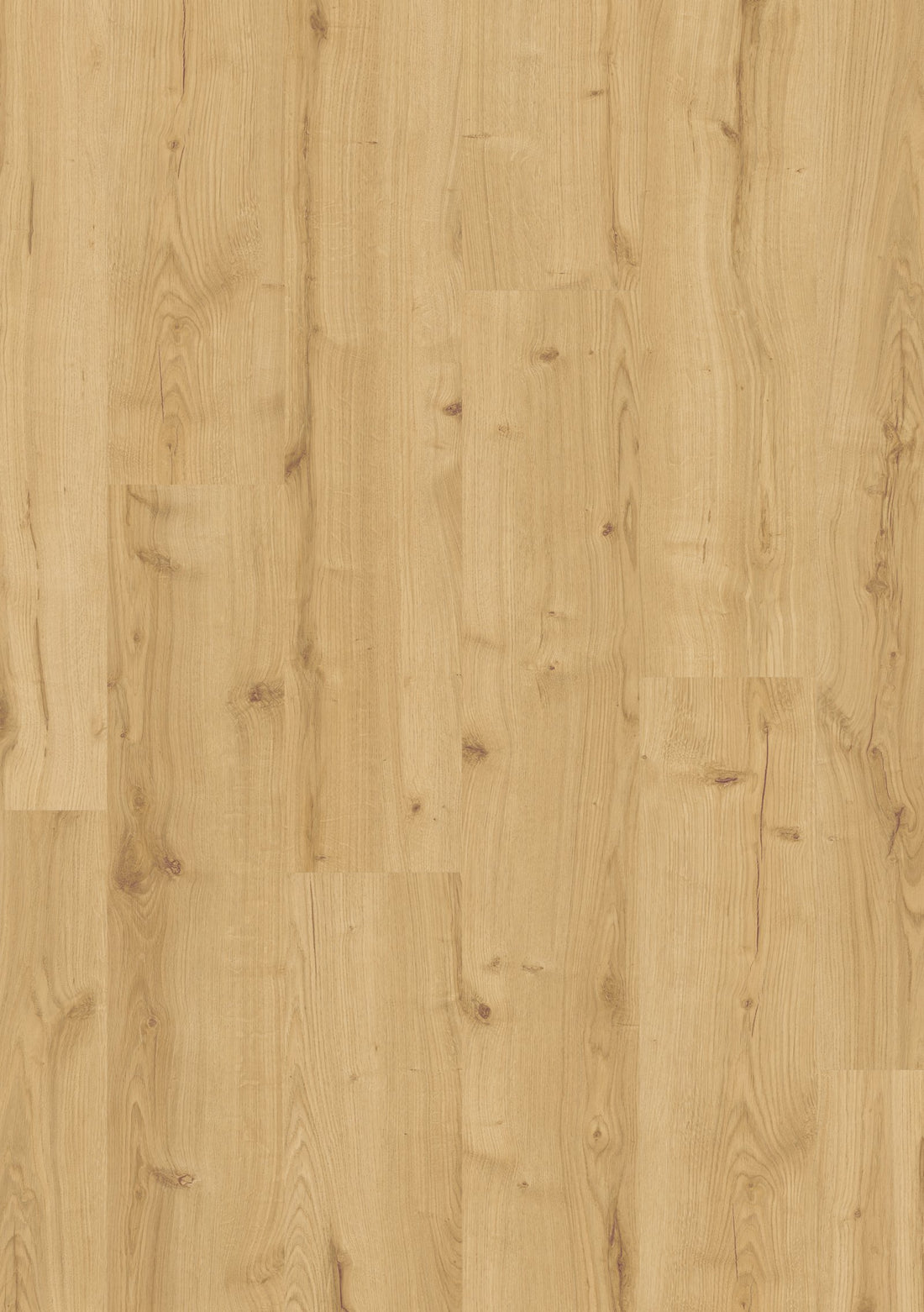 Beautifloor Laminaat West-Vlaanderen Hooglede