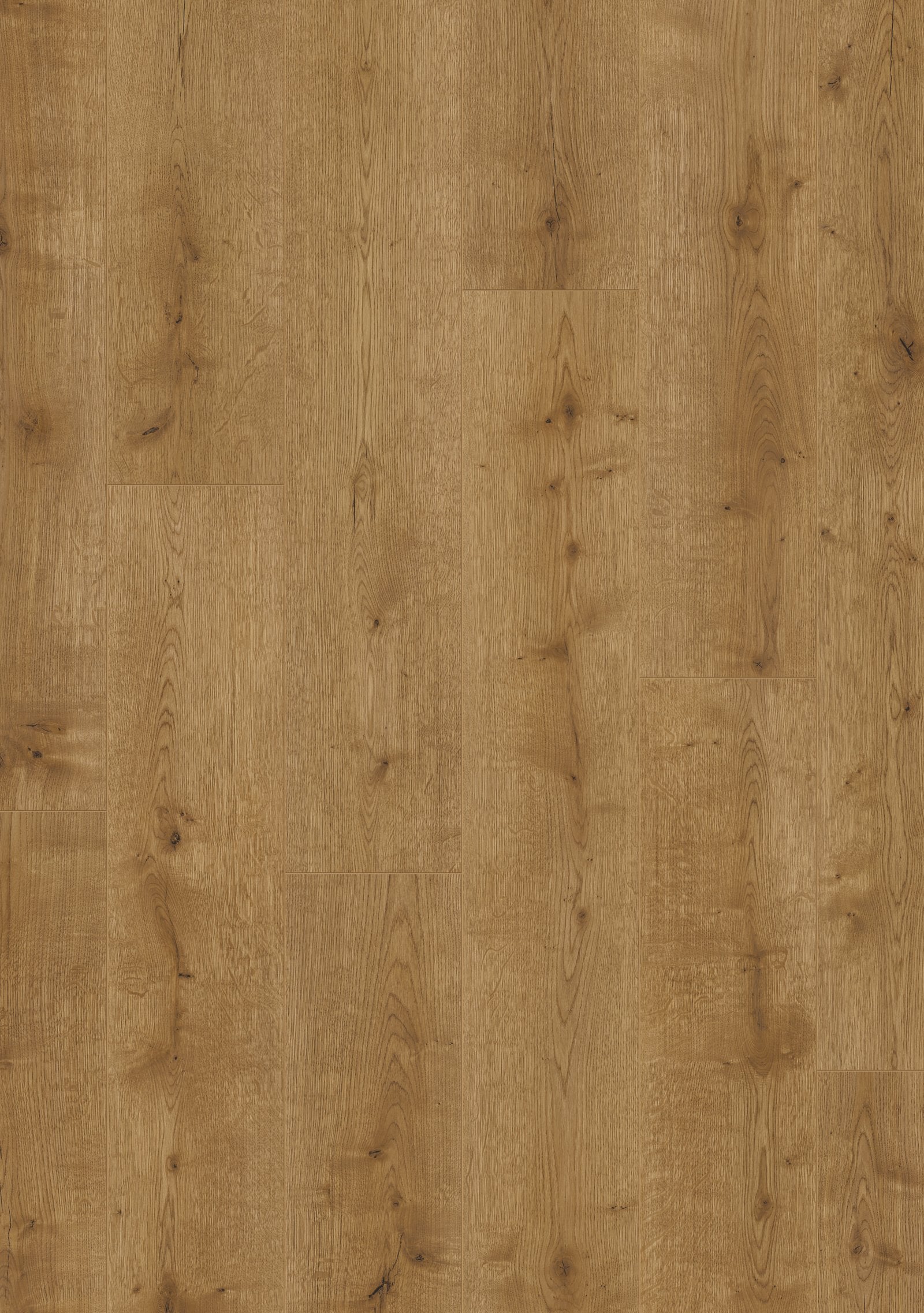 Beautifloor Laminaat West-Vlaanderen Loker