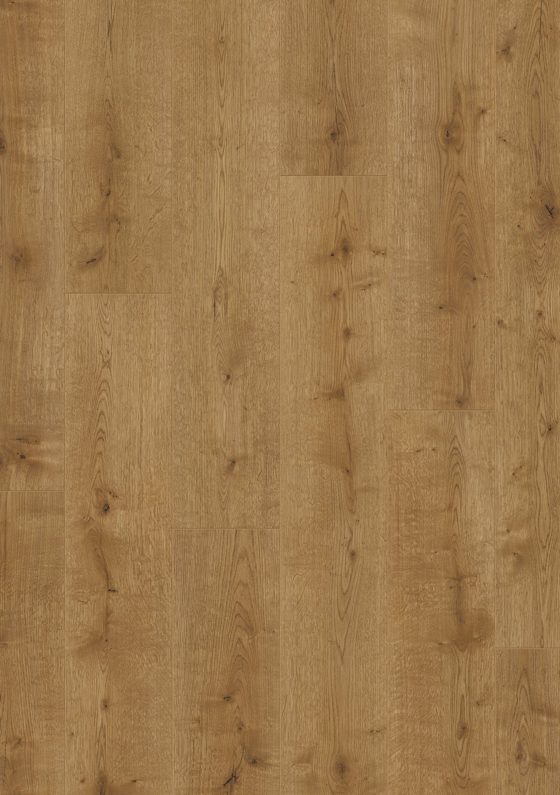 Beautifloor Laminaat West-Vlaanderen Loker