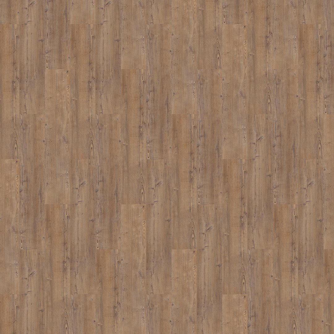 Mflor 75170 Argyll Fir Comerford 20-03