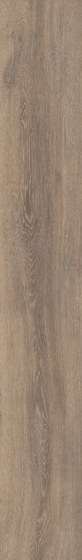 Mflor 56313 Authentic Oak XL Calabria 25-05