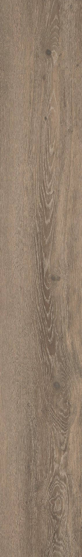Mflor 56317 Authentic Oak XL Lombardia 25-05