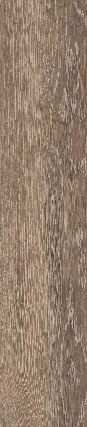 Mflor 46413 Authentic Parva Oak XL Calabria 25-05