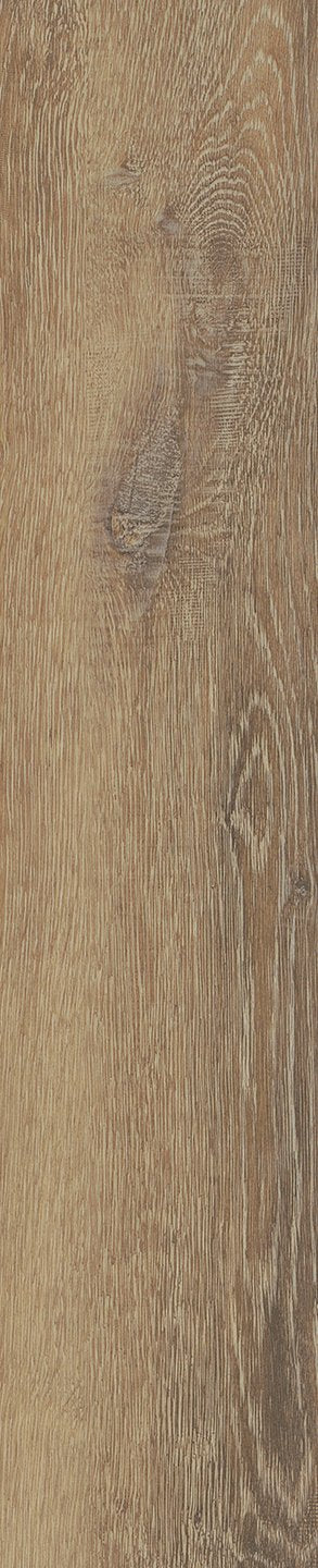 Mflor 46415 Authentic Parva Oak XL Apulia 25-05