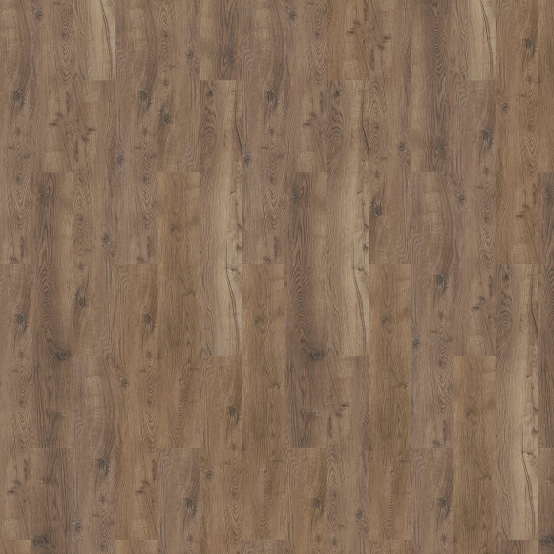 Mflor 81607 Bramber Chestnut Alforf 25-05
