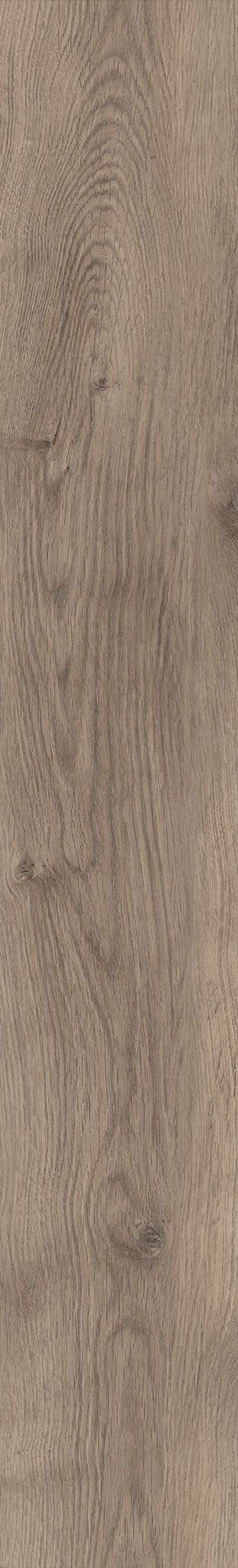 Mflor 81611 Bramber Chestnut Miglio 25-05