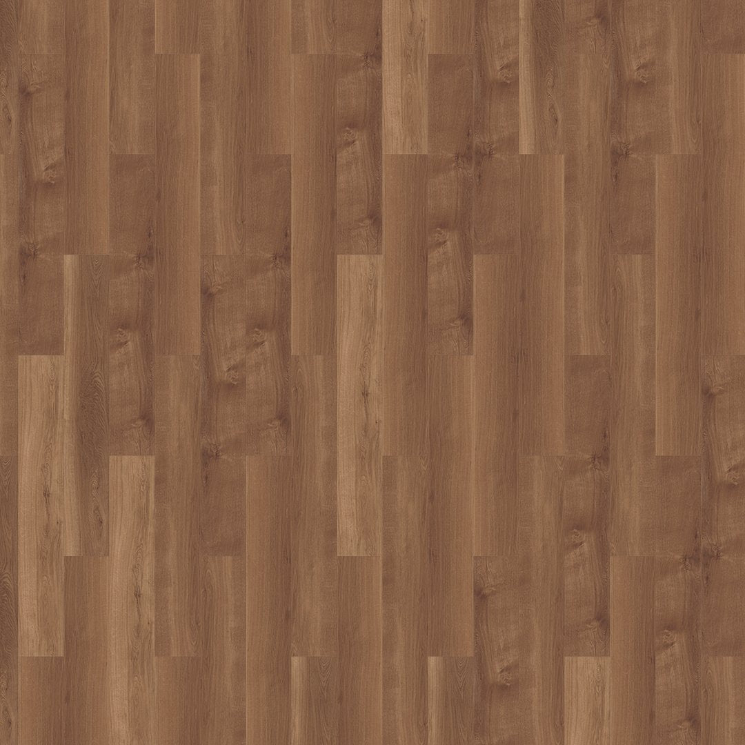 Mflor 41813 Broad Leaf Dark Sycamore 25-05