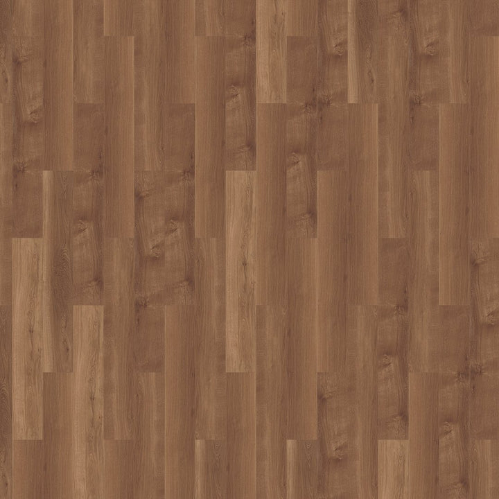 Mflor 41813 Broad Leaf Dark Sycamore 25-05