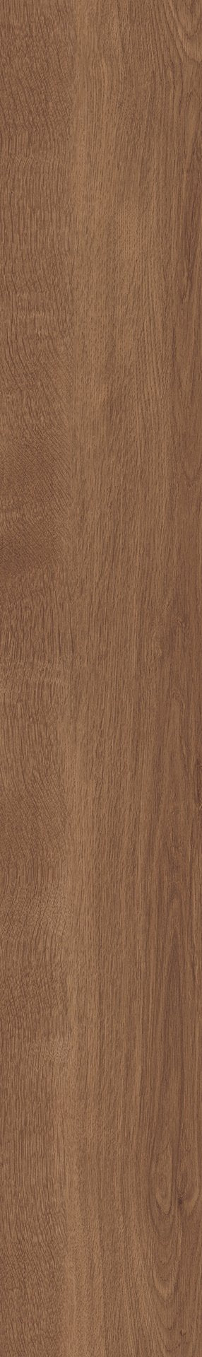 Mflor 41813 Broad Leaf Dark Sycamore 25-05