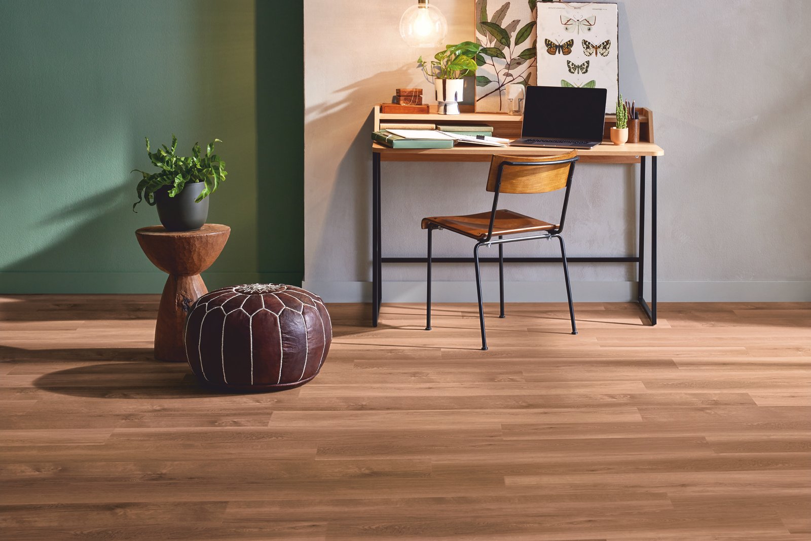 Mflor 41813 Broad Leaf Dark Sycamore 25-05