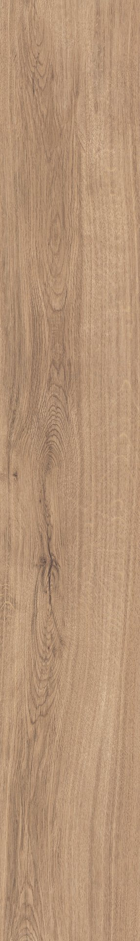 Mflor 41815 Broad Leaf Warm Sycamore 25-05