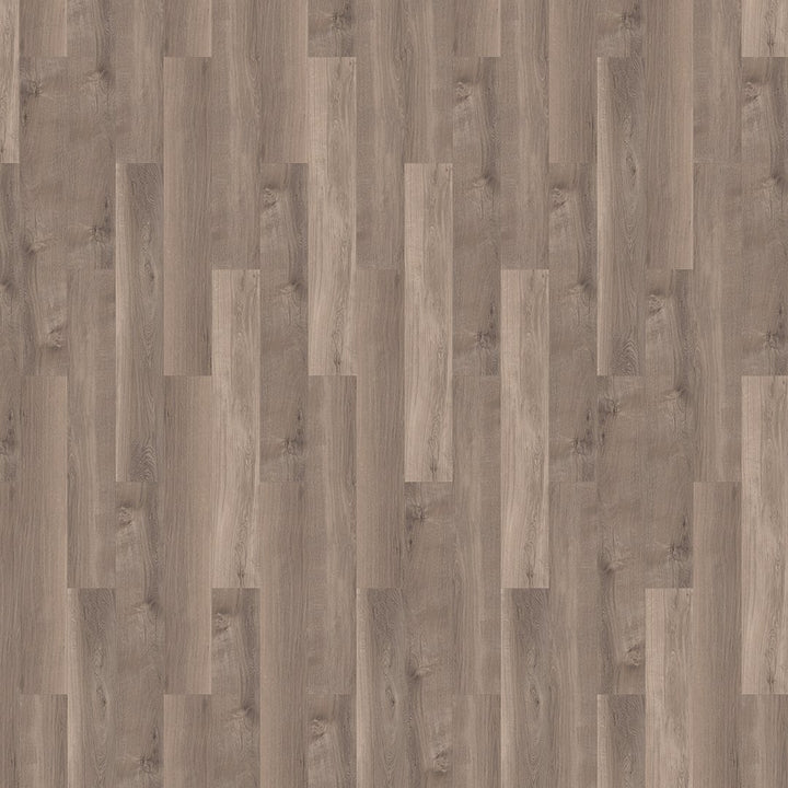 Mflor 41817 Broad Leaf Smoky Sycamore 25-05