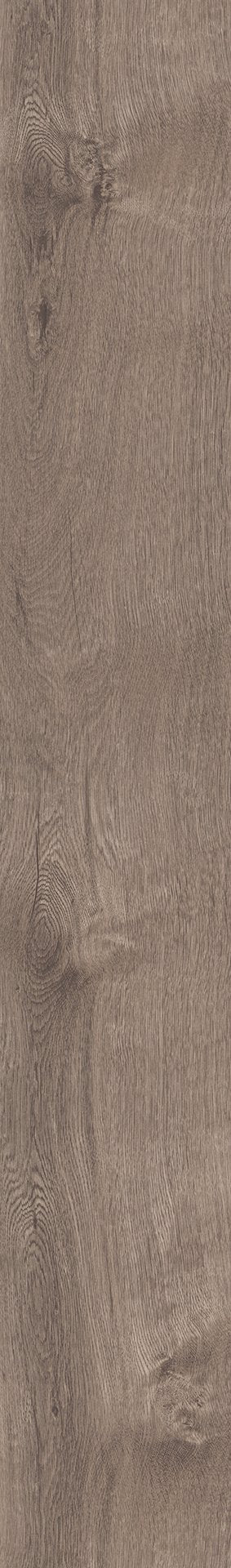 Mflor 41817 Broad Leaf Smoky Sycamore 25-05
