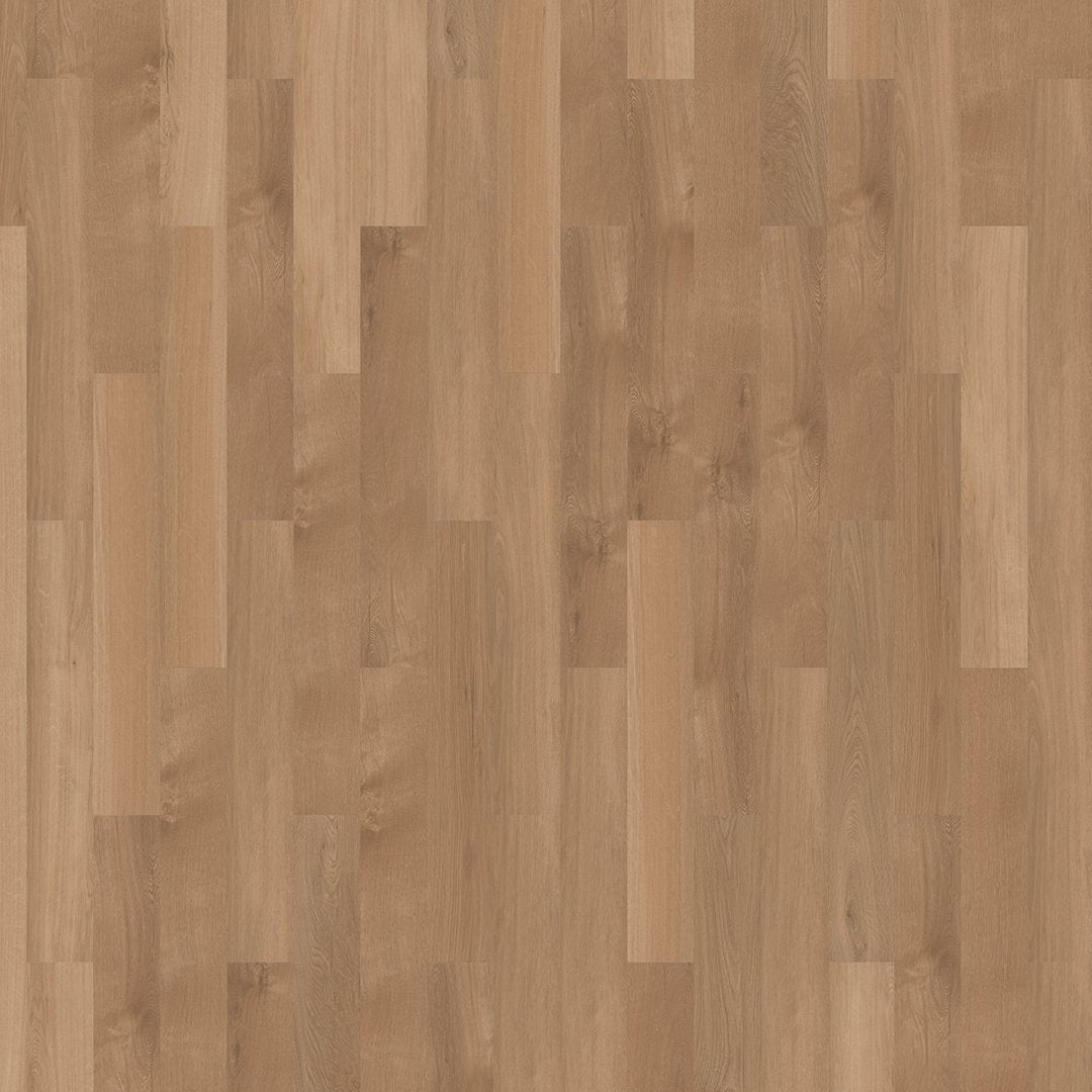 Mflor 41822 Broad Leaf Pure Sycamore 25-05