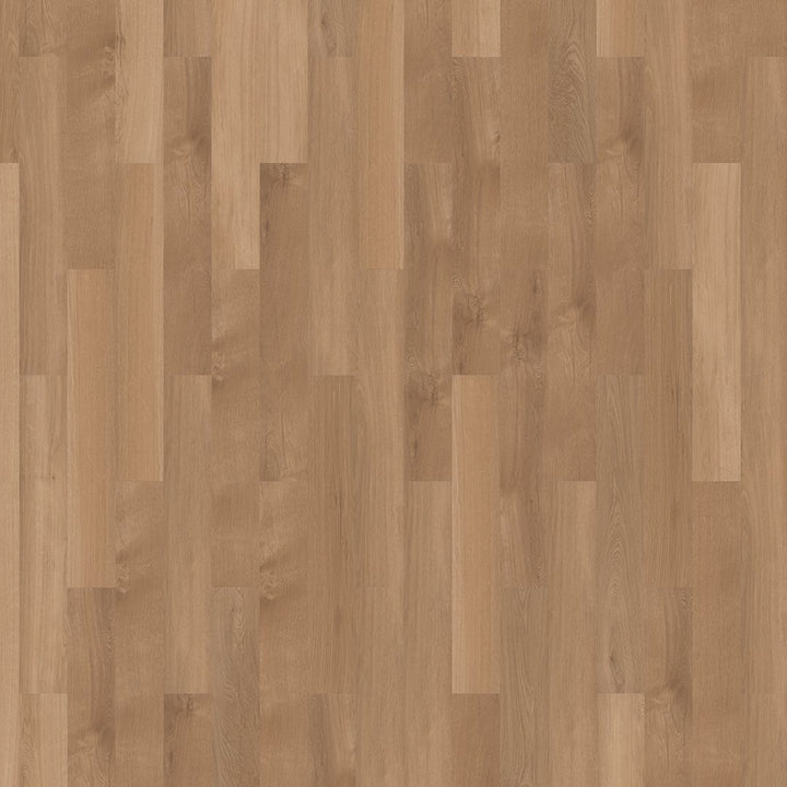 Mflor 41822 Broad Leaf Pure Sycamore 25-05