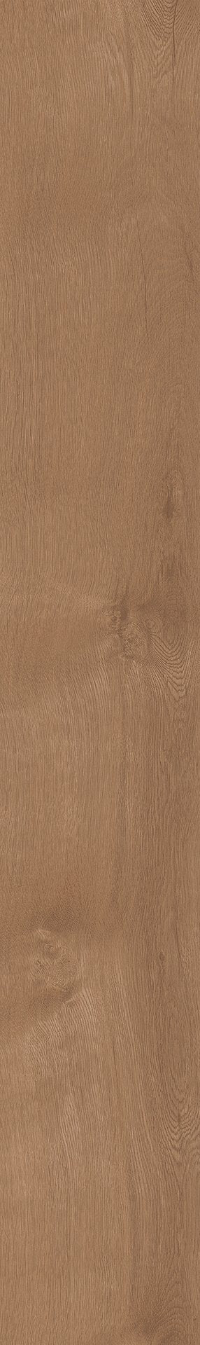 Mflor 41822 Broad Leaf Pure Sycamore 25-05