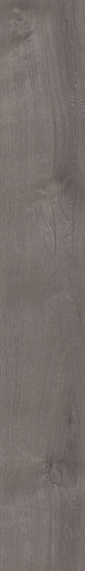 Mflor 41828 Broad Leaf Grey Sycamore 25-05