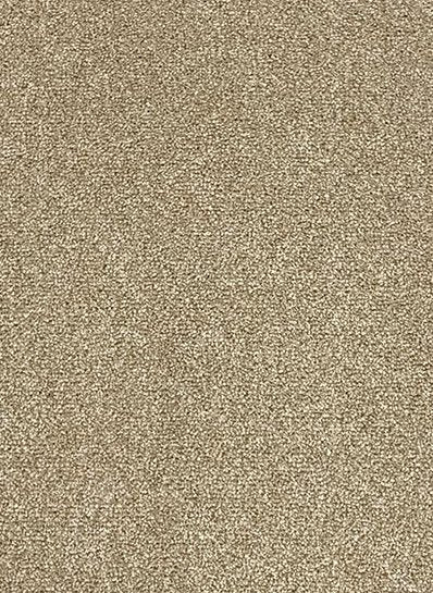 Da Vinci 91