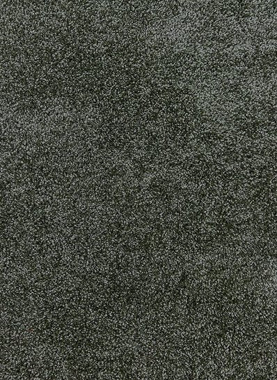 Ecolution 26