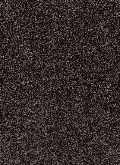 Ecolution 48