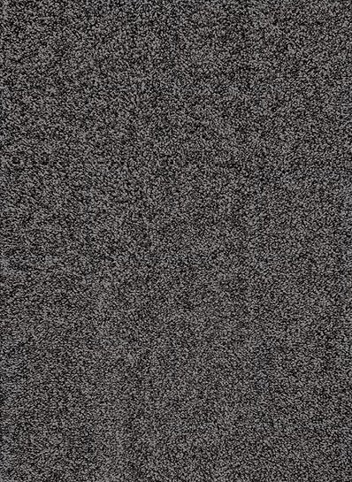 Ecolution 96