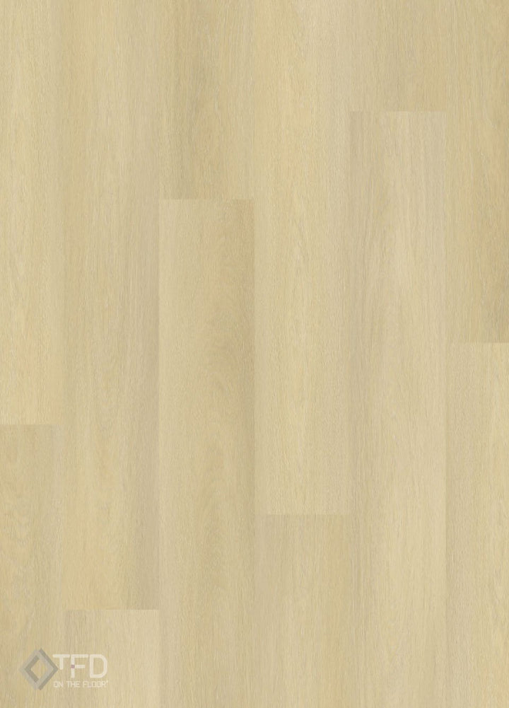 Nature-Dryback-237