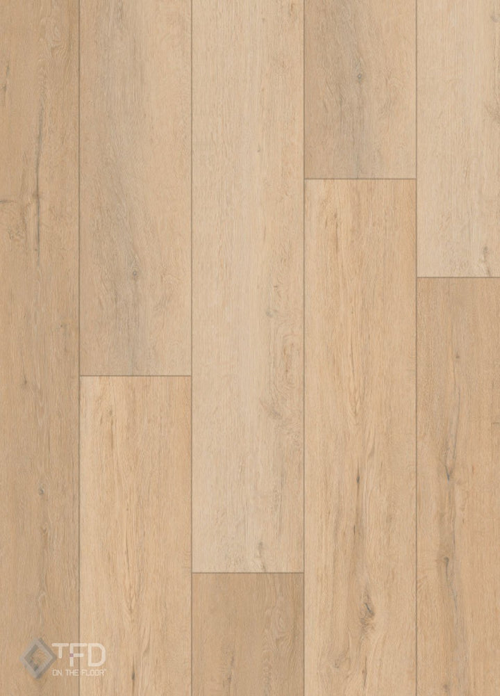 Nature-Dryback-281