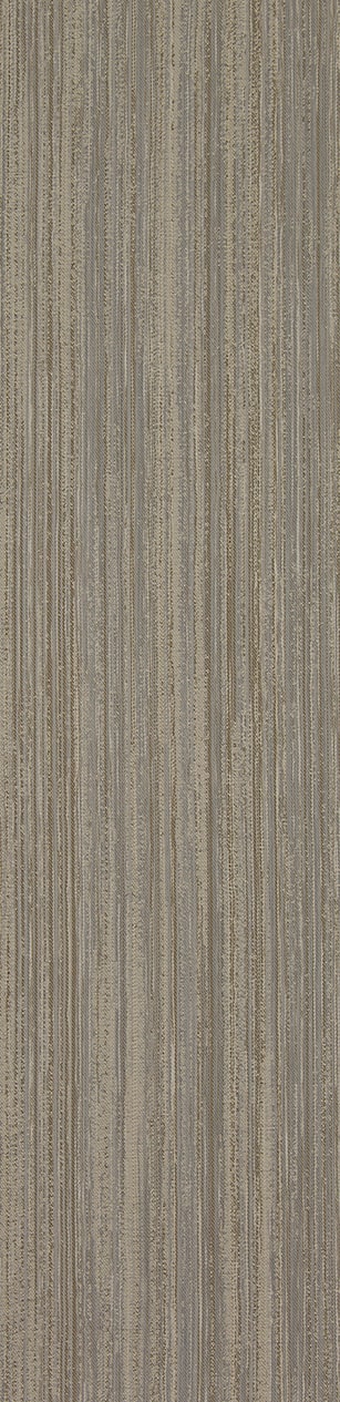 Ombre 403