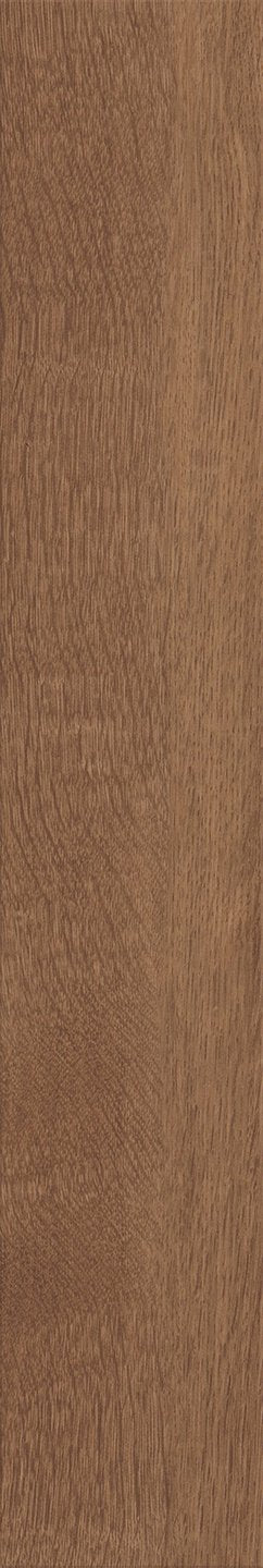 Mflor 40813 Parva Broad Leaf Dark Sycamore 25-05