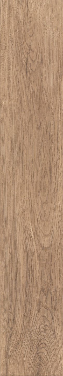 Mflor 40815 Parva Broad Leaf Warm Sycamore 25-05