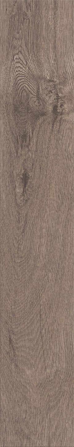Mflor 40817 Parva Broad Leaf Smoky Sycamore 25-05
