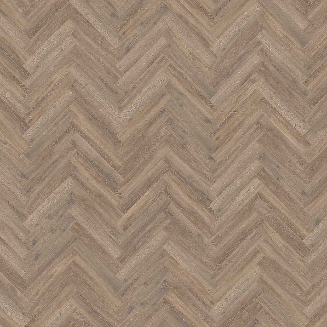 Mflor 41213 Parva Oak Calabria 25-05