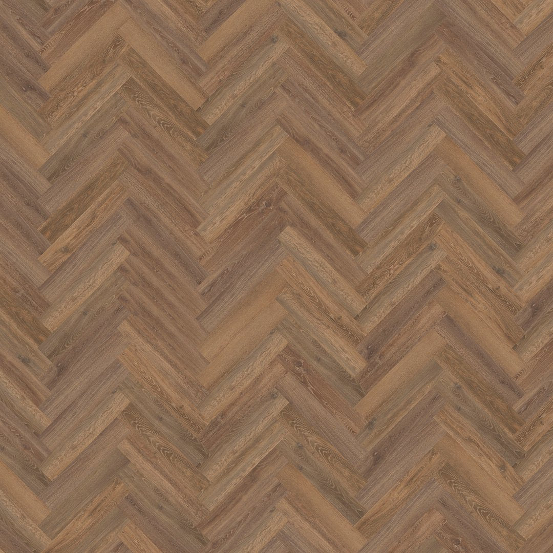 Mflor 41216 Parva Oak Liguria 25-05