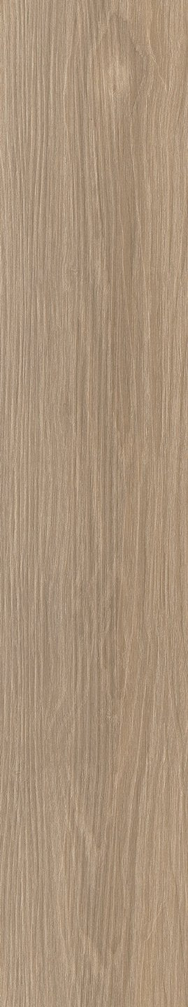 Mflor 41319 Parva River Oak Rhone 25-05