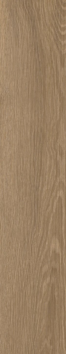 Mflor 41322 Parva River Oak Danube 25-05
