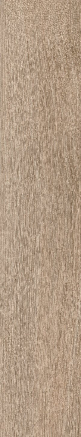 Mflor 41325 Parva River Oak Douro 25-05