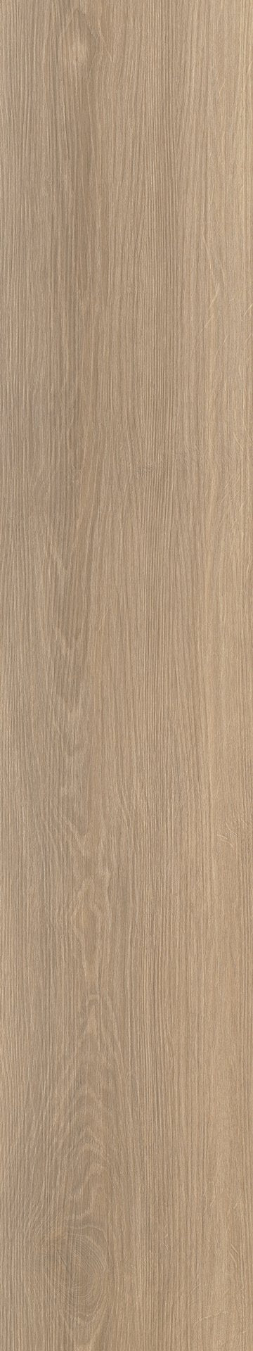 Mflor 63019 River Oak Rhone 20-03