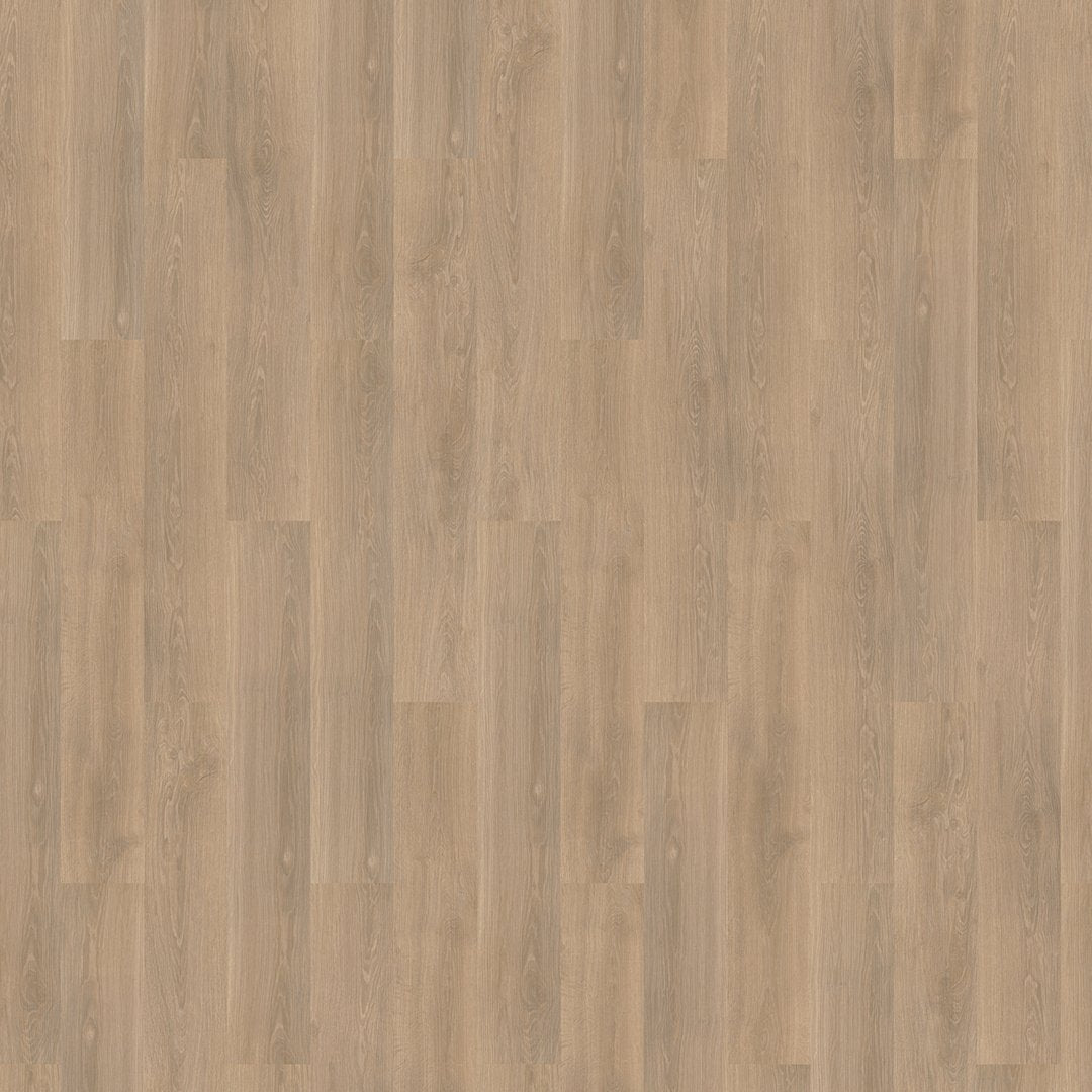 Mflor 73019 River Oak XL Rhone 25-05