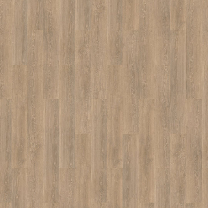 Mflor 73019 River Oak XL Rhone 25-05