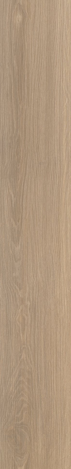Mflor 73019 River Oak XL Rhone 25-05