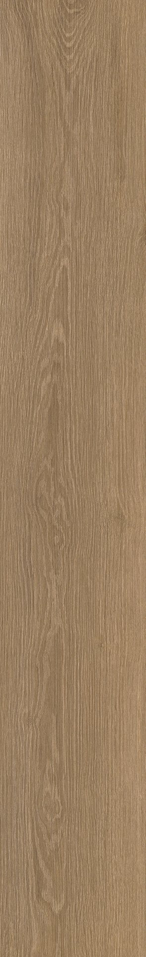 Mflor 73022 River Oak XL Danube 25-05