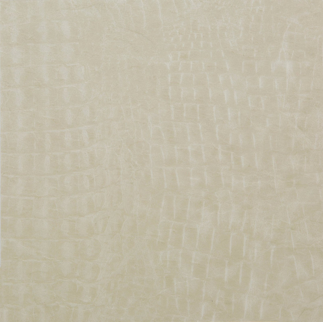 TouchLeather4