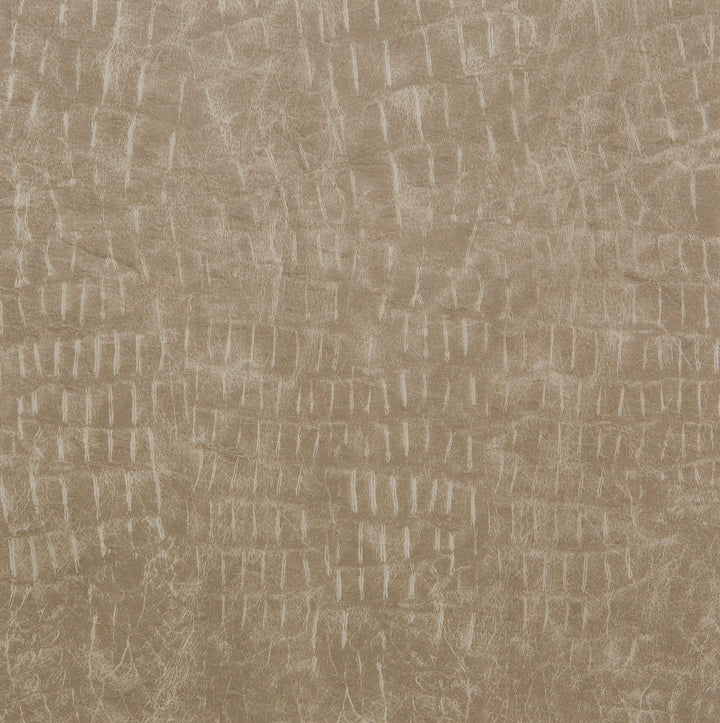 TouchLeather5