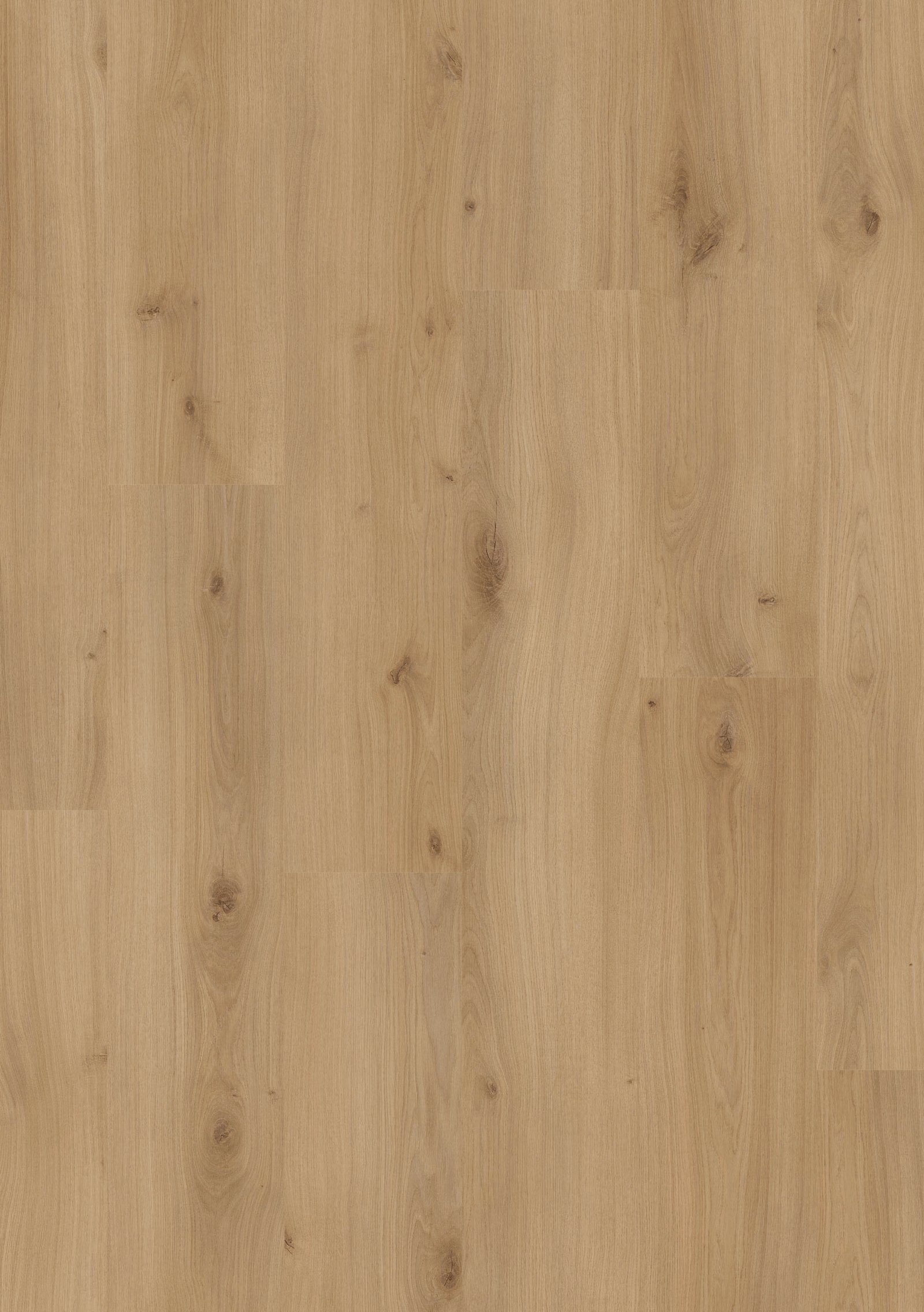 Beautifloor Laminaat West-Vlaanderen Krombeke