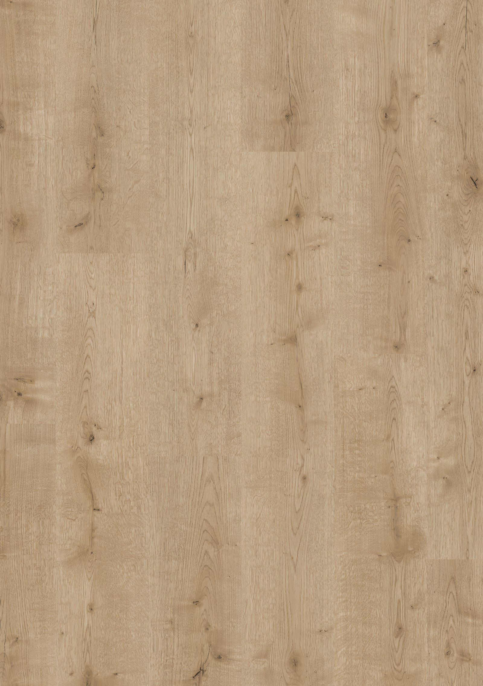 Beautifloor Laminaat Ardennen Rendeux