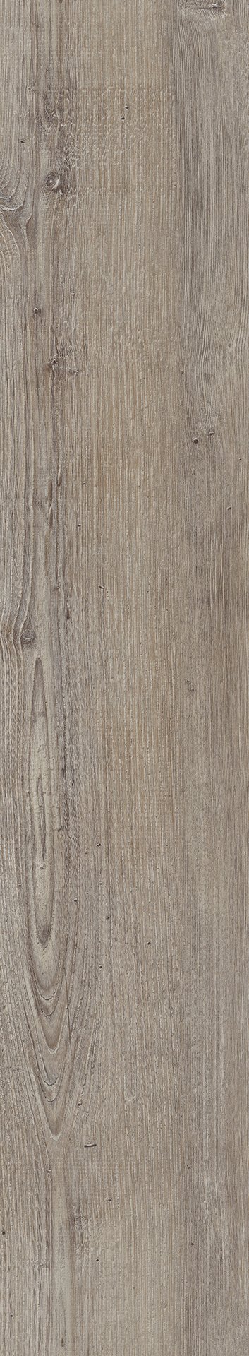 Mflor 75110 Argyll Fir Greyfriars 20-03 - Afbeelding 3