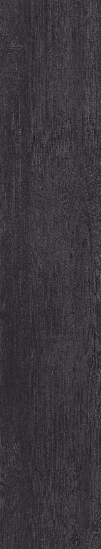 Mflor 75111 Argyll Fir Glenmuir 20-03 - Afbeelding 3