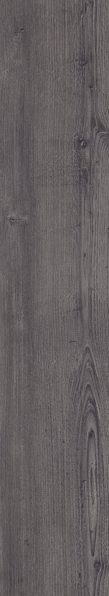 Mflor 75115 Argyll Fir Montrose 20-03 - Afbeelding 3