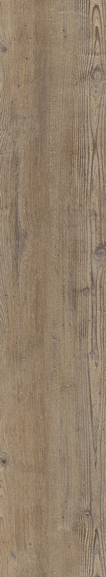 Mflor 75170 Argyll Fir Comerford 20-03 - Afbeelding 3